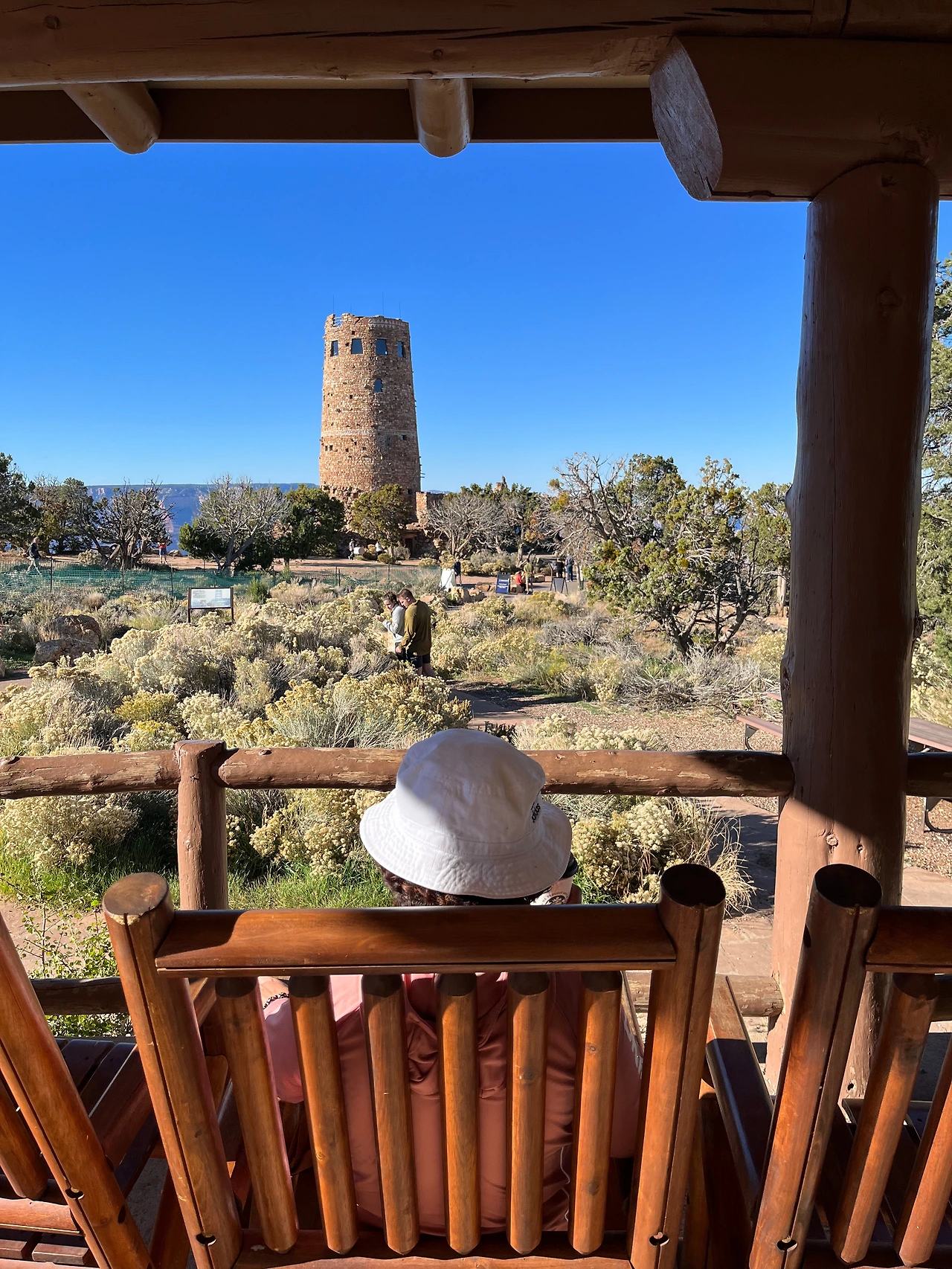 P20221019_073600556_2818E165-90B0-4CB3-9E27-7347C02F8179 conv.jpeg