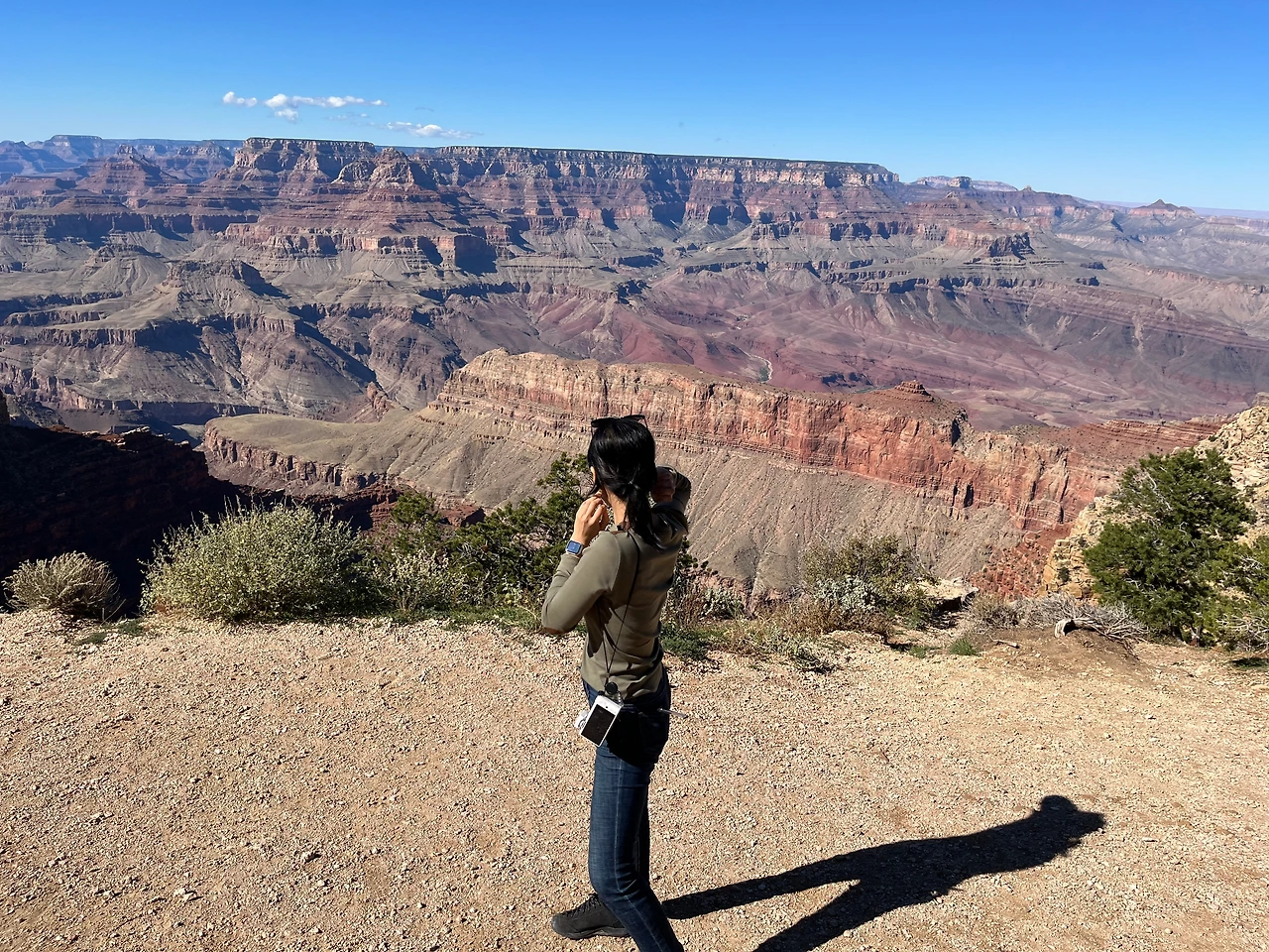 P20221019_054603726_9D4BF9C3-3B36-4791-9F59-DADCED09890B conv.jpeg