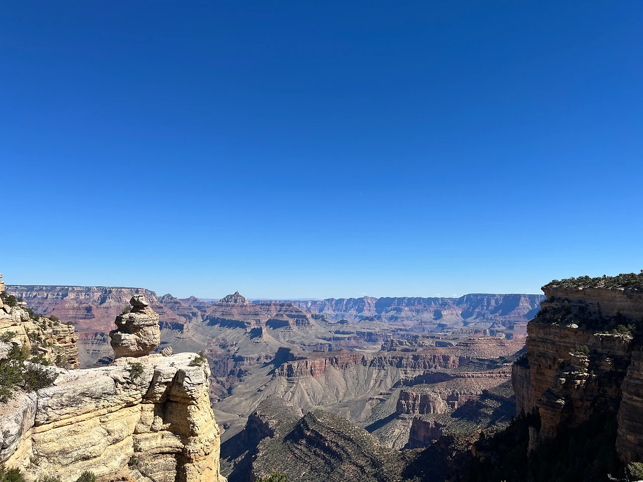 P20221019_034942775_AA7B44A2-29D5-420F-B72F-84837EEA7C43 conv.jpeg