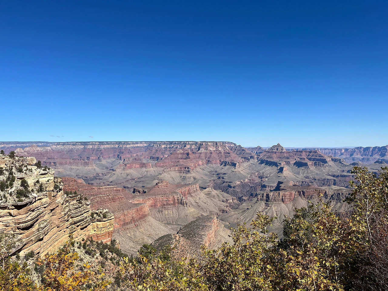 P20221019_035811806_92EDCCD3-7576-4C2E-8F00-A0F7C6F10CC8 conv.jpeg