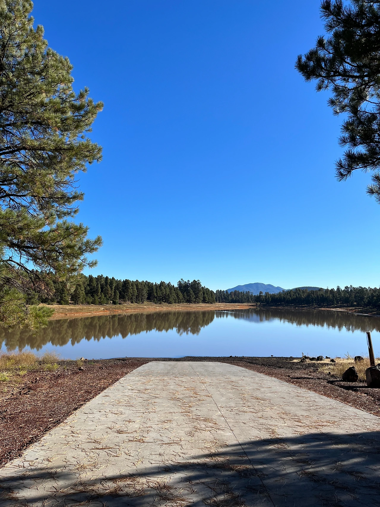 P20221019_003331742_EB6A45D0-4600-4C76-BB9F-B5C041E962E4 conv.jpeg