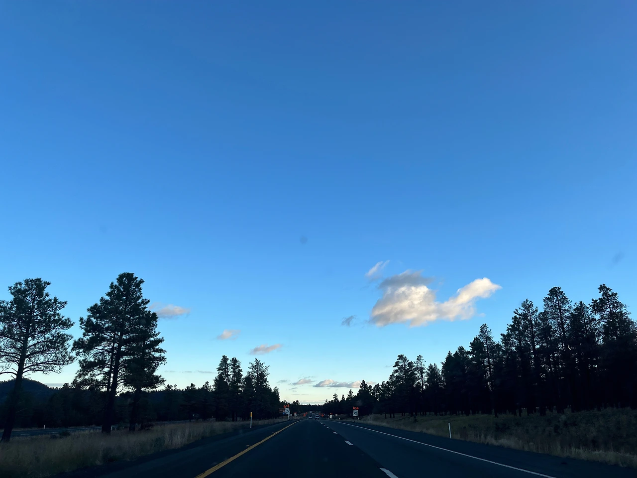 P20221018_091541266_3A76F4AC-323C-4666-81E5-0ED21AECDB9B conv.jpeg