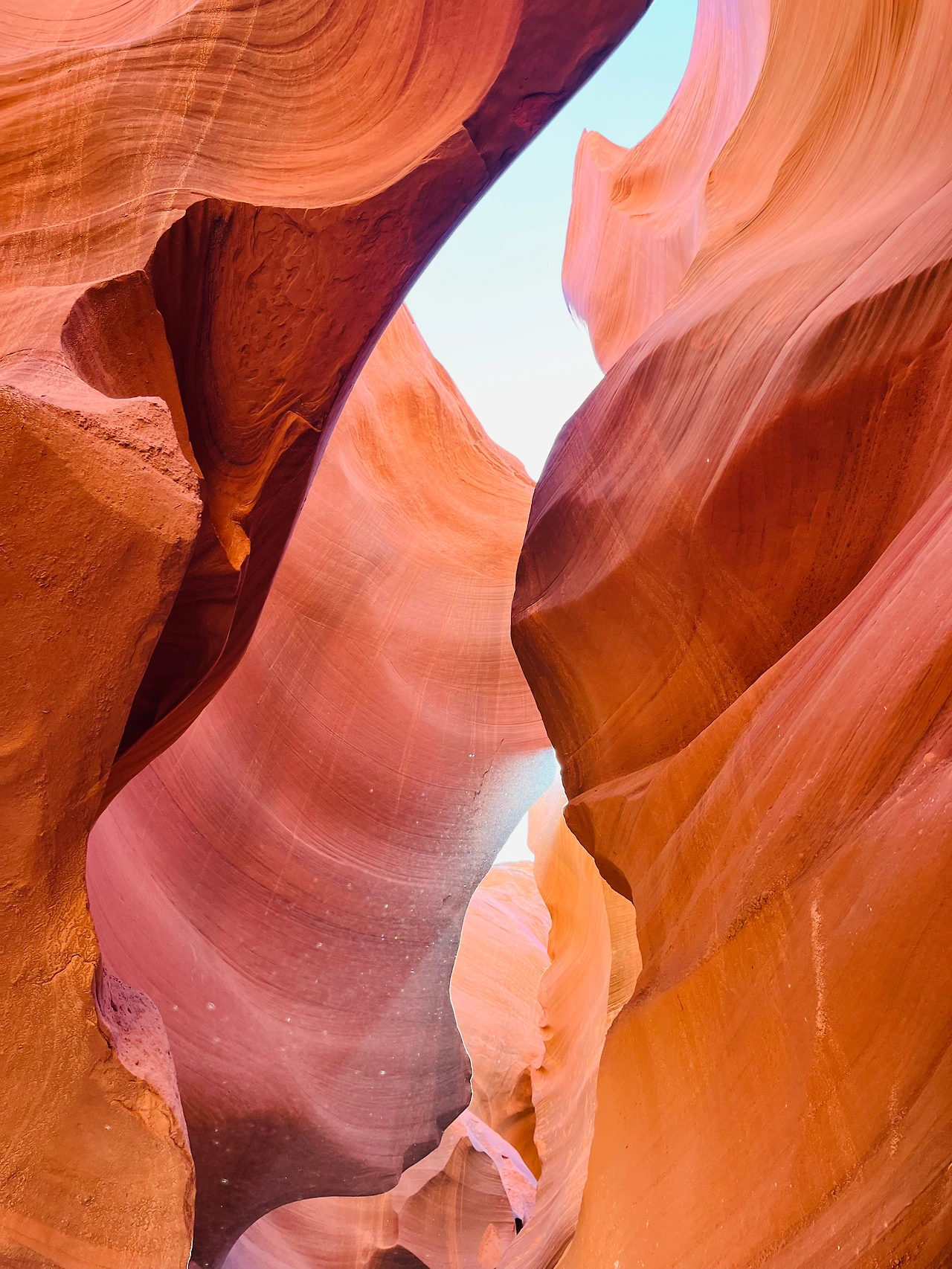 P20221018_035257246_7F048A11-CD22-4FC8-8452-3BE3B3933A25 conv.jpeg