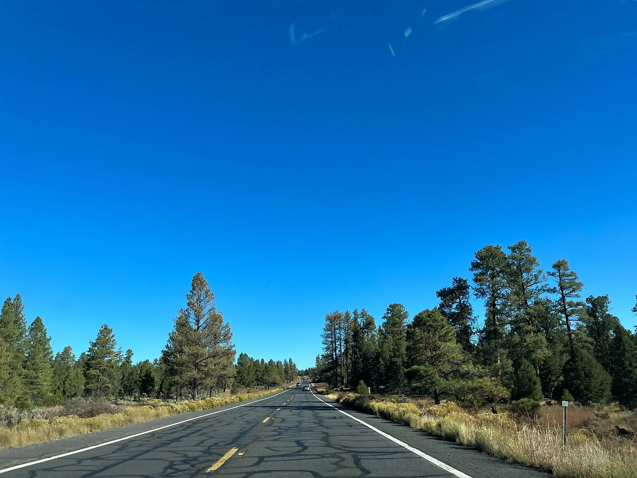 P20221019_012200800_3828F24F-648D-4A20-9440-92B7018CC1E1 conv.jpeg