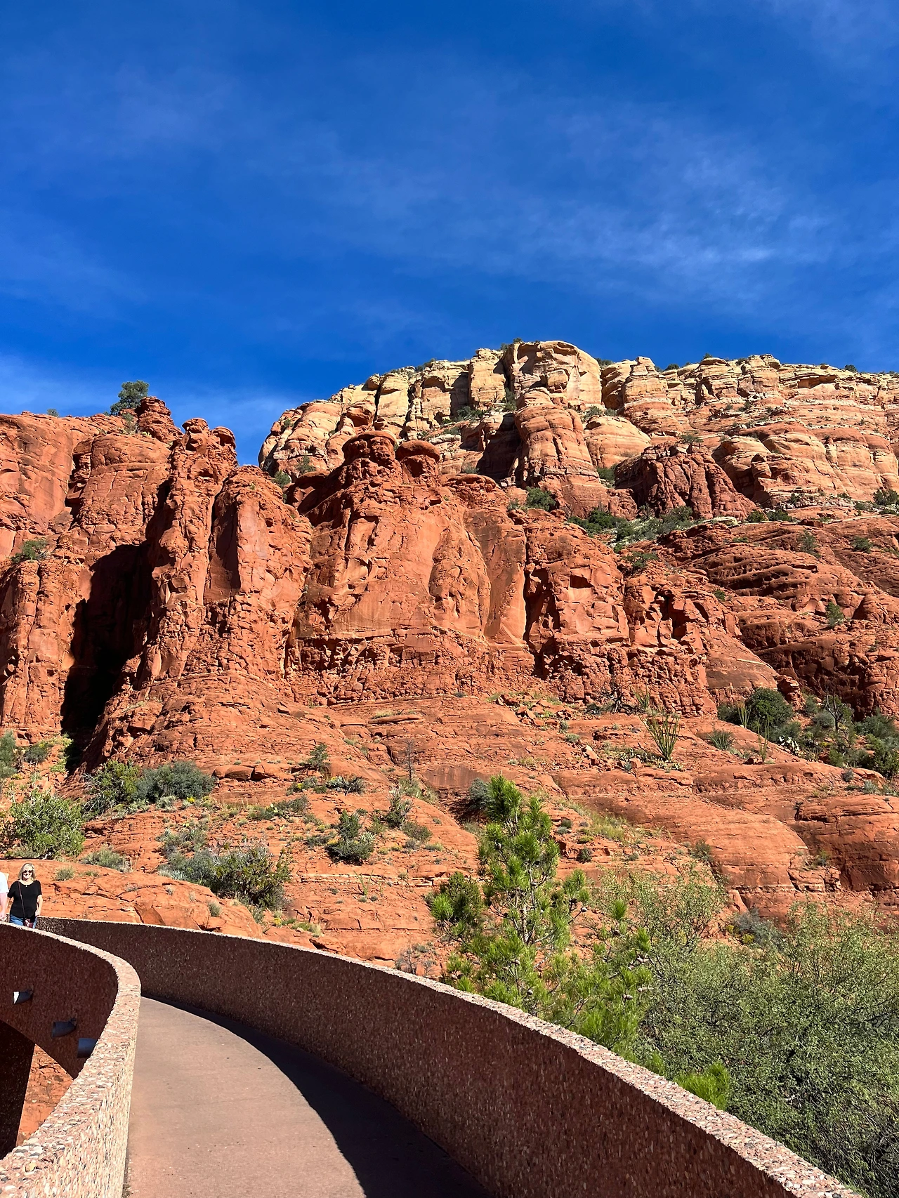 P20221020_012045110_C7DC35D3-083B-4AF3-B451-2B9276DEBE5C conv.jpeg