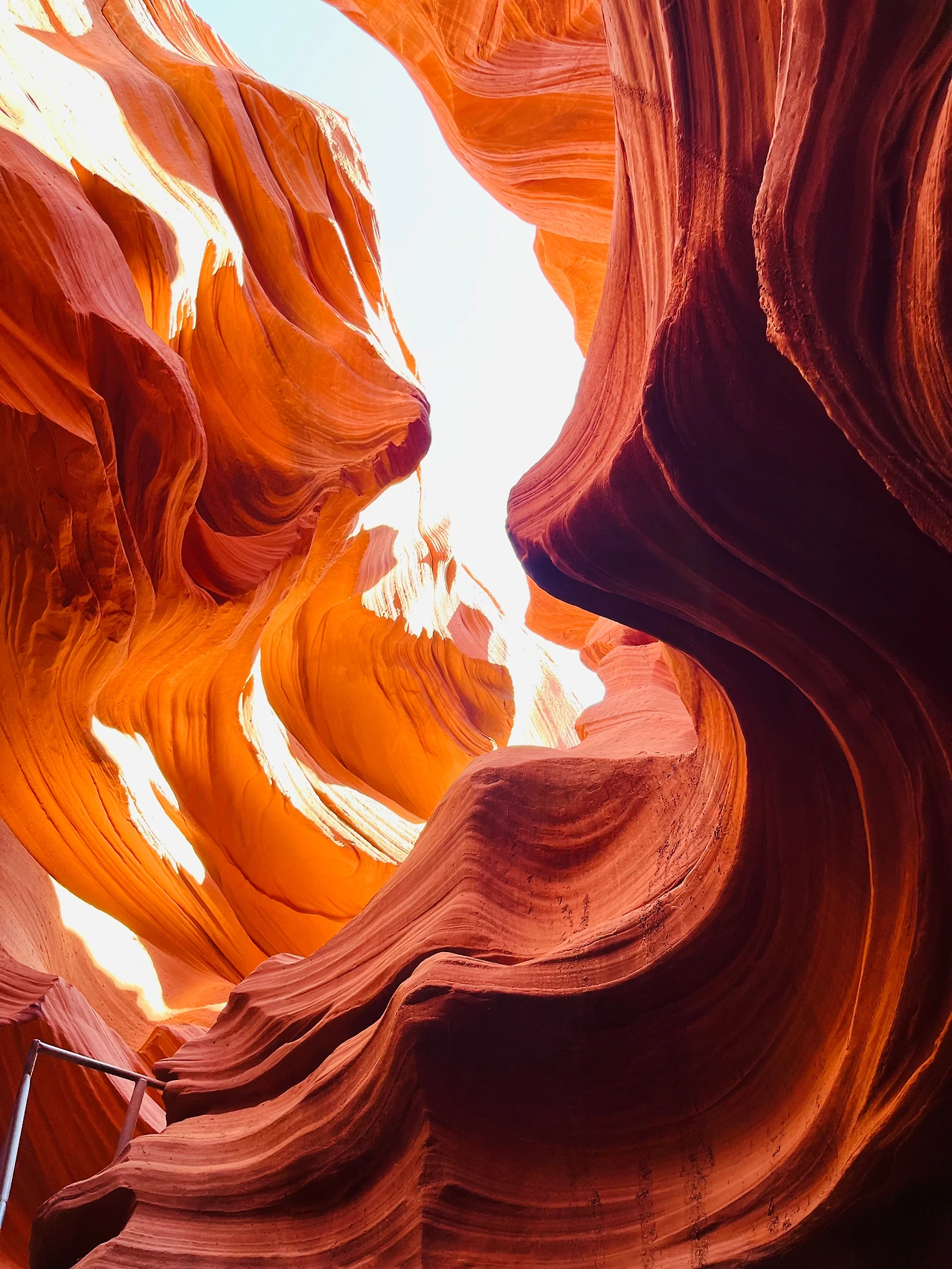 P20221018_042945993_08903E1C-6C2C-4B04-A82A-993E65FEF788 conv.jpeg