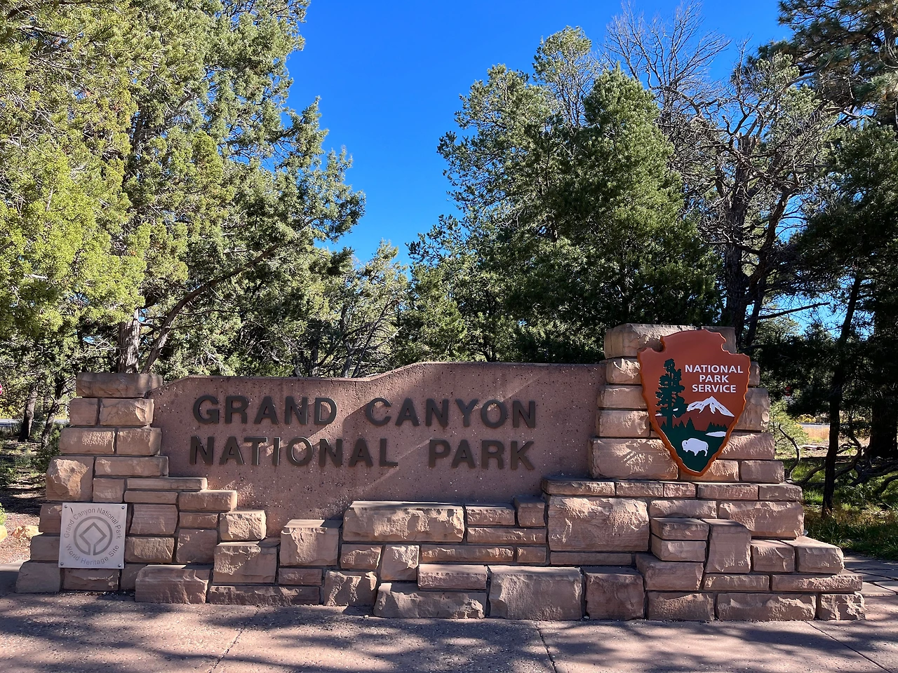 P20221019_015350239_896605F4-821F-4D35-92DC-0C5E8599C40C conv.jpeg