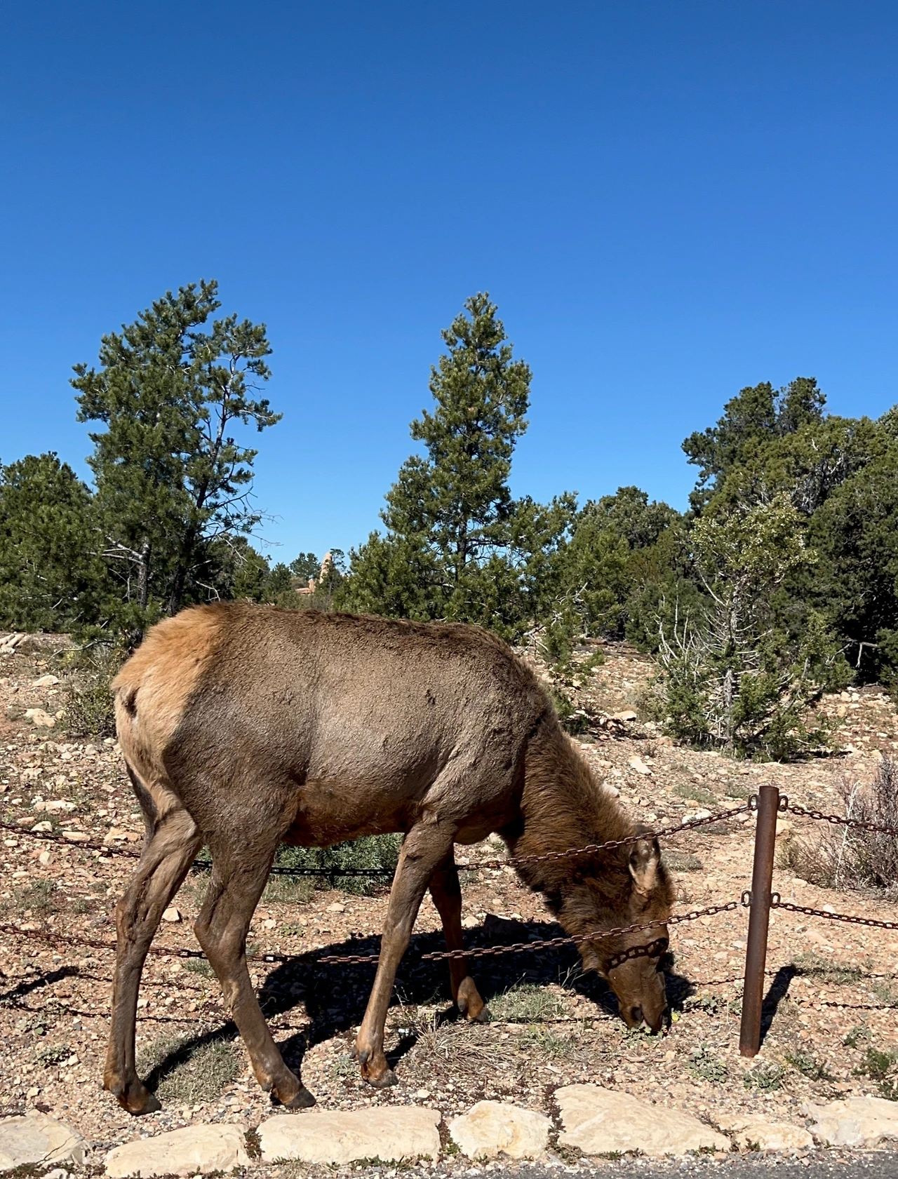 P20221019_031833487_28740657-58DB-4C37-BF8A-7308CDE30210 conv.jpeg