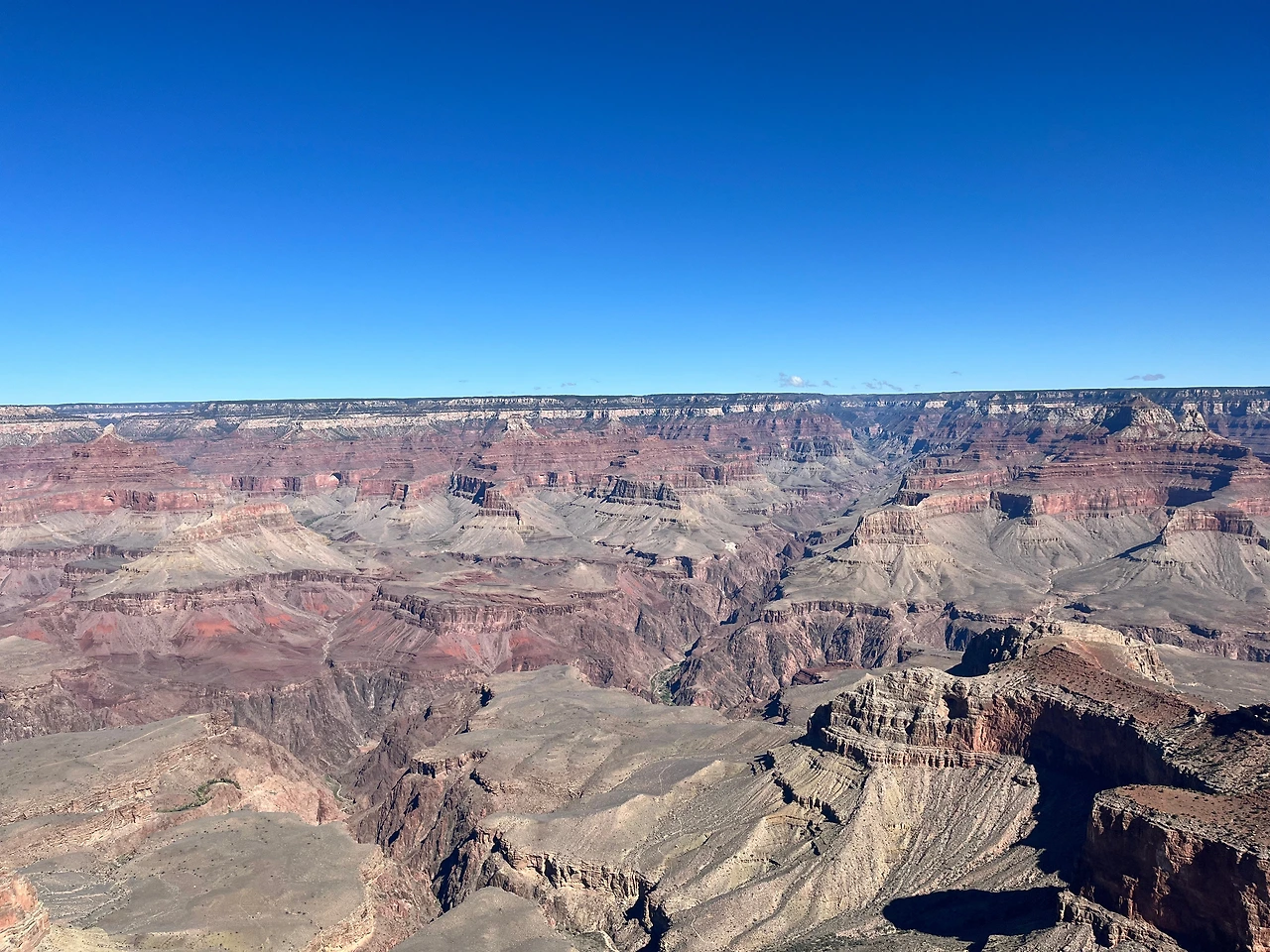 P20221019_025633576_2157BD6F-E654-49D1-9959-608184EF6ED4 conv.jpeg