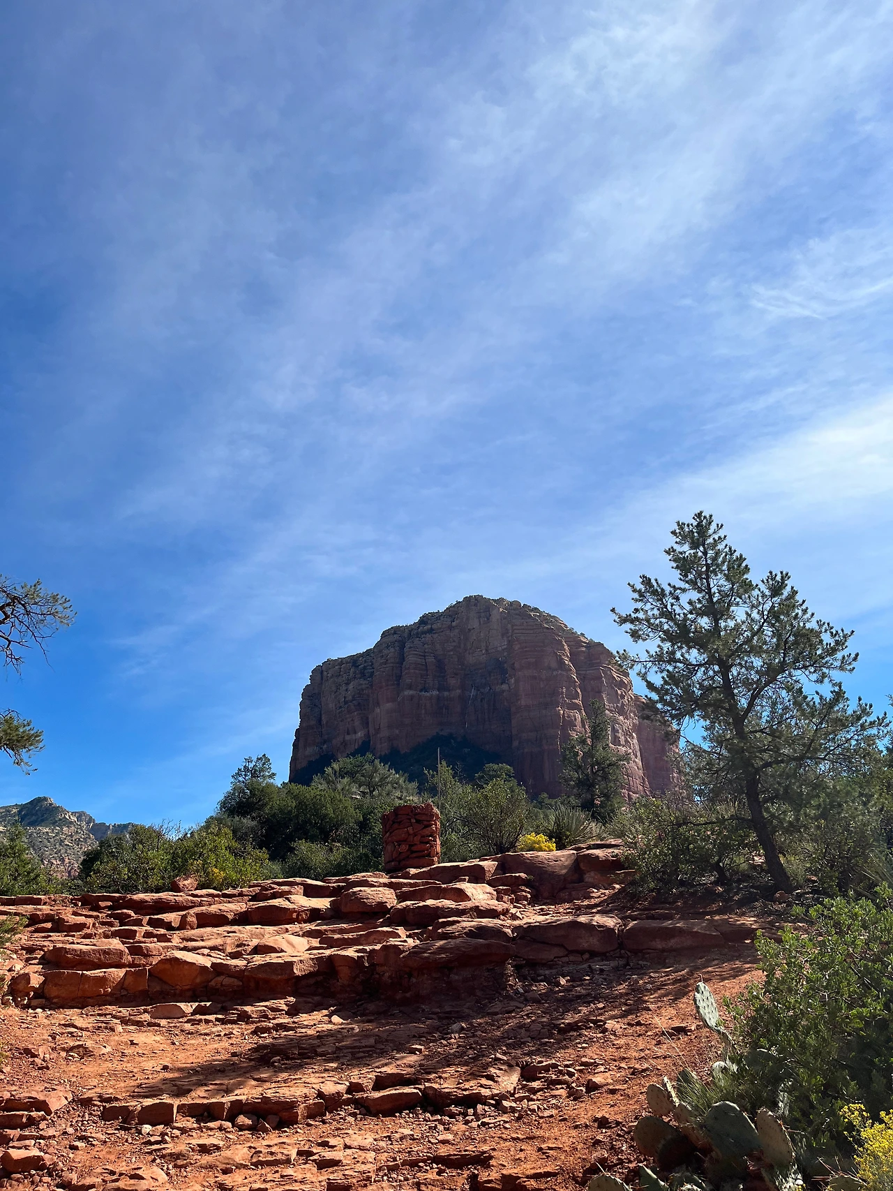 P20221020_025511785_9A7CA602-721E-4C6B-AF22-1E66AE340F7C conv.jpeg