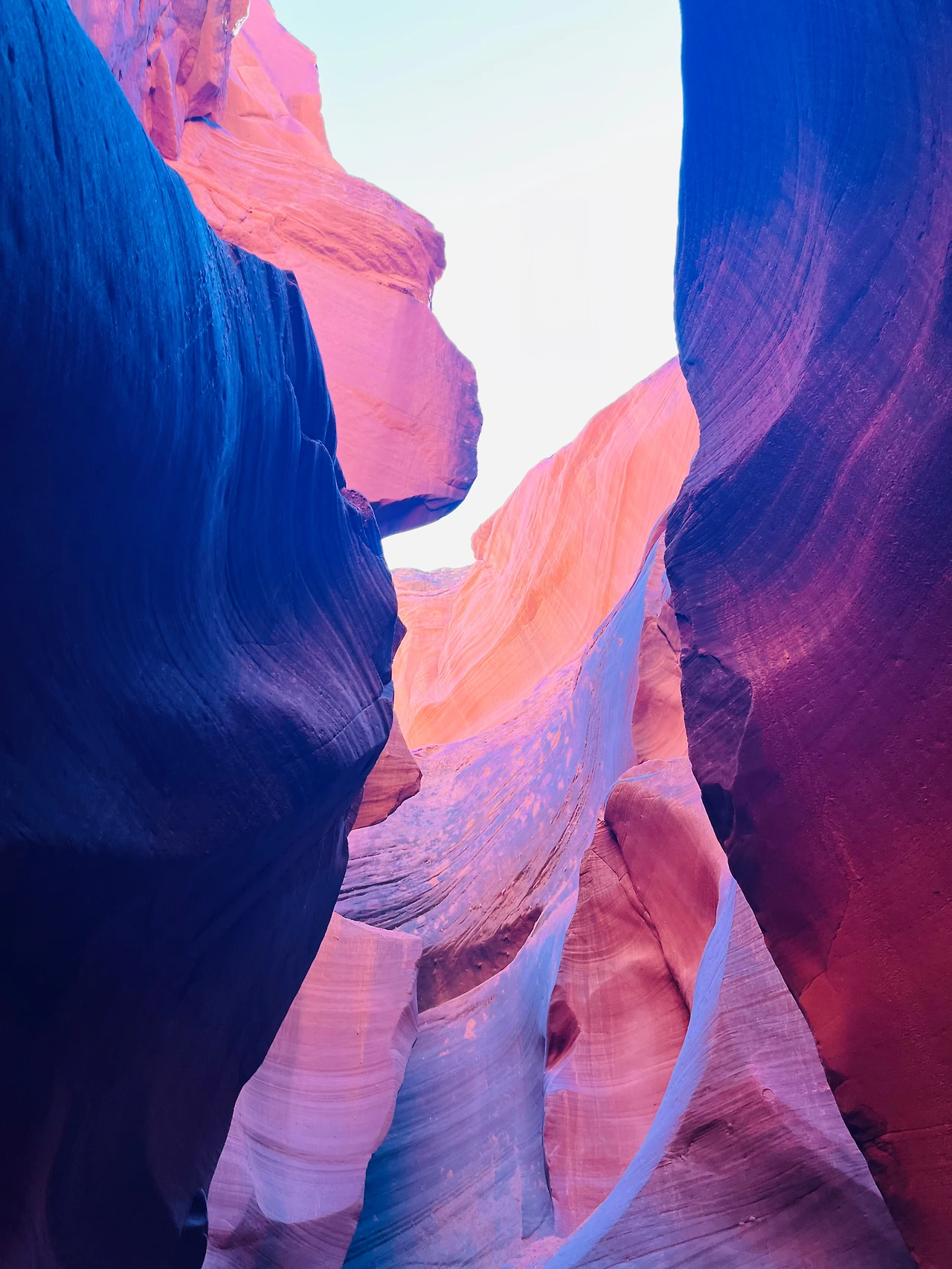 P20221018_035912130_27B66169-CABC-484F-97BE-DA90E2617985 conv.jpeg