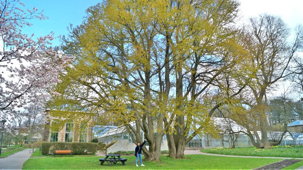 DSC01869_1.jpg?type=w966