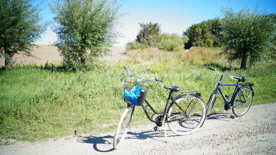 DSC09199.JPG?type=w966