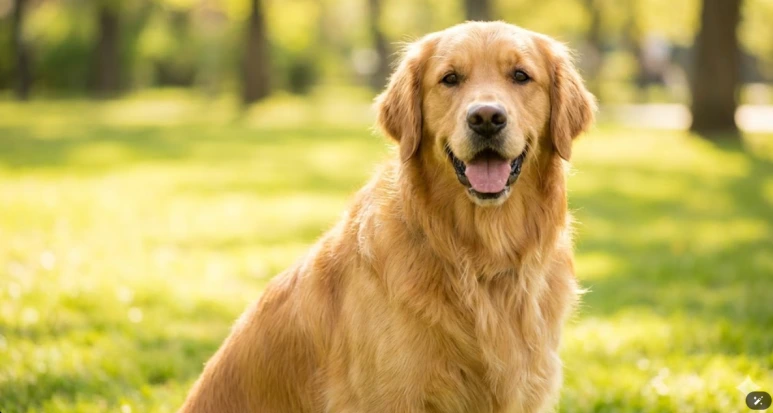 %EC%8A%A4%ED%81%AC%EB%A6%B0%EC%83%B7_2026-01-14_110031.png?type=w773