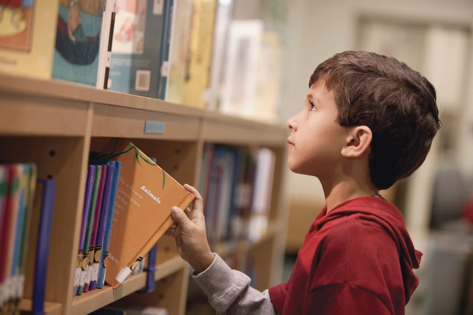 %EB%AF%B8%EB%9E%98%EA%B5%90%EC%9C%A1%EC%97%B0%EA%B5%AC%EC%86%8C_78423272_XXL.jpg?type=w966