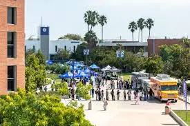 images?q=tbn:ANd9GcRn3786zKbQ27nZs-YajD5Ue_Bcs0GM0VAgVck4_l28_w&s