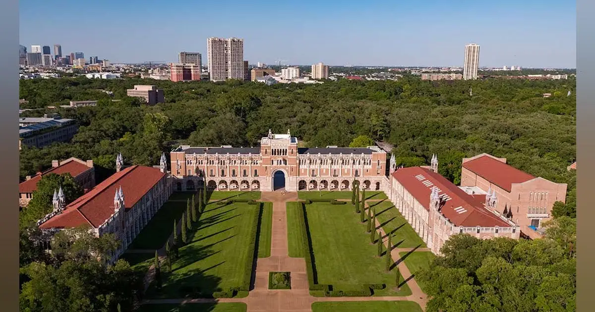 rice_quad.6436f55651c7d.png?auto=format,compress&fit=fill&fill=blur&w=1200&h=630