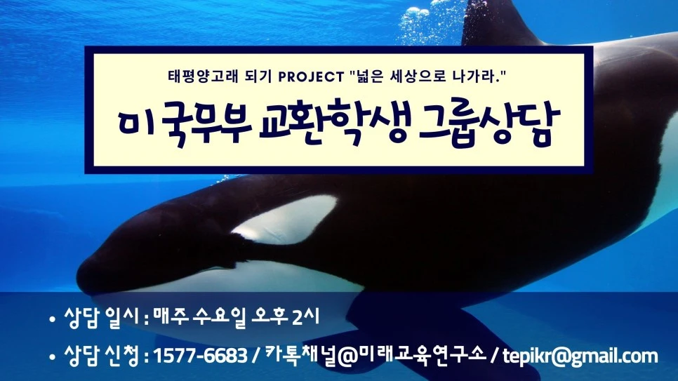 %EC%88%98%EC%9A%94_%EA%B5%90%ED%99%98%ED%95%99%EC%83%9D_%EC%83%81%EB%8B%B4_%EC%95%88%EB%82%B4.jpg?type=w966