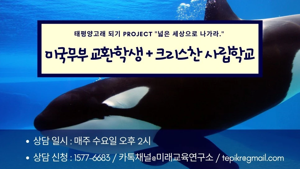 %EA%B5%90%ED%99%98%ED%95%99%EC%83%9D_%ED%81%AC%EB%A6%AC%EC%8A%A4%EC%B0%AC%EC%82%AC%EB%A6%BD_%EC%83%81%EB%8B%B4.jpg?type=w966