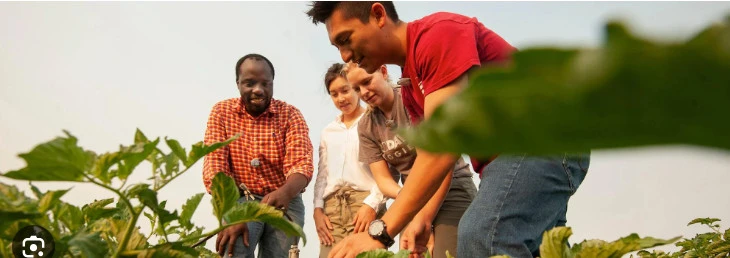 Cap_2023-09-29_18-01-41-634.jpg?type=w966