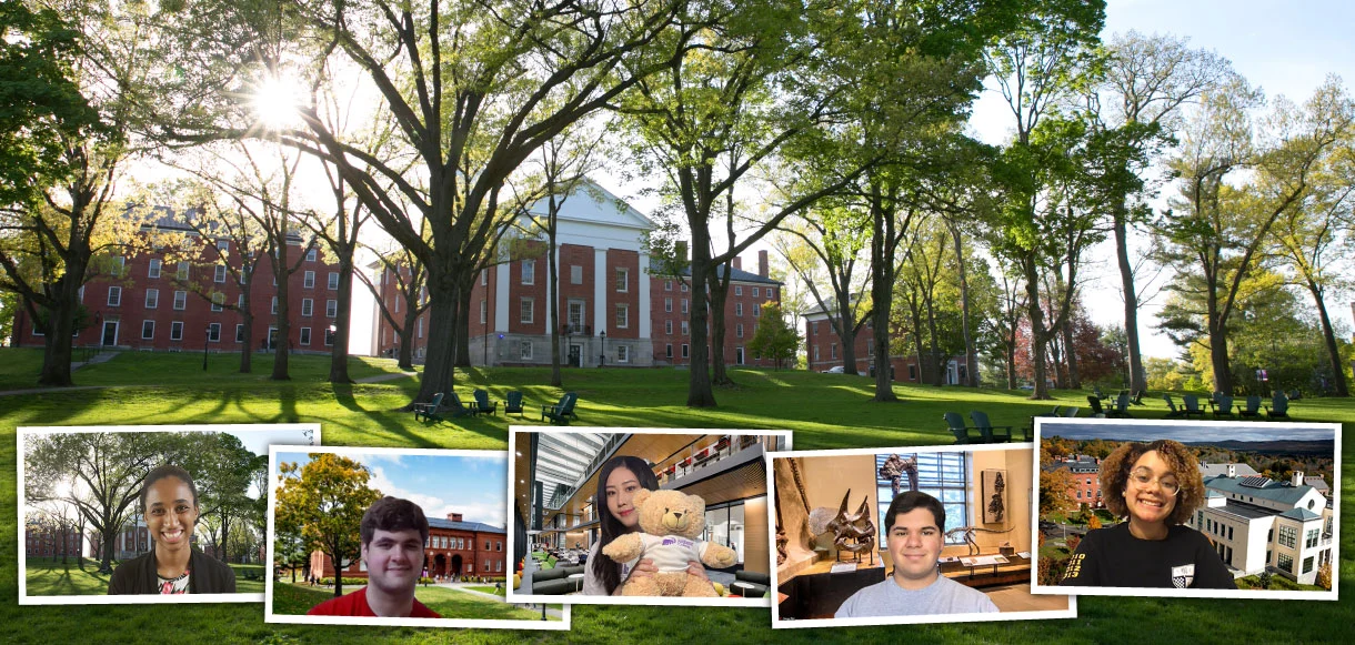 zoom-tours-bloggers-collage-quad.jpg&__=1595458349