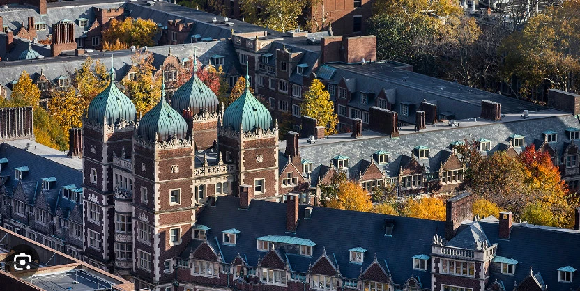 Cap_2023-08-06_17-38-45-638.jpg?type=w966