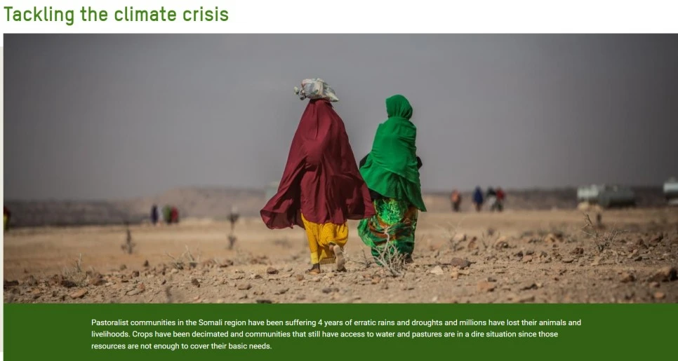 Cap_2023-05-17_17-08-31-327.jpg?type=w966