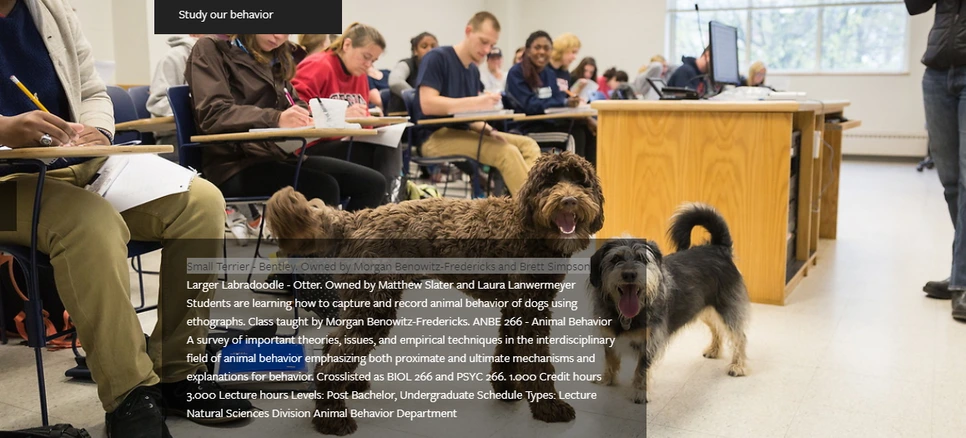 20180618_150118.png?type=w966