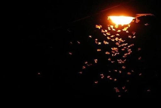 xKPm5mKQBh3H23bHmGrXO3SD7Ezf47rklvaH8rA4xVSDgoV7TM7Z4oA5mLBpZTzkh8g6eU-AGcgk0dnsUwAapgcetDY65bN85ZG9hHgN