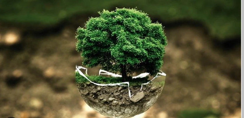 Cap_2024-02-15_08-30-20-302.jpg?type=w966