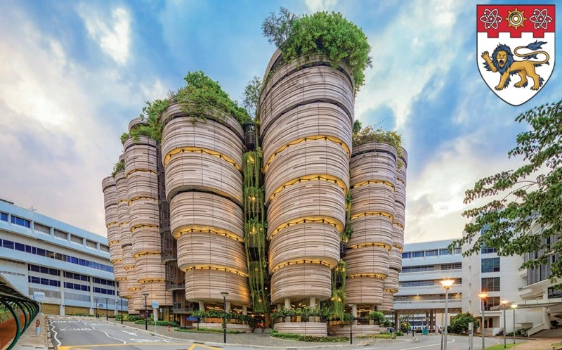 %EB%82%9C%EC%96%91%EA%B3%B5%EB%8C%80.jpg?type=w800