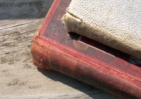 knowledge_1.jpg?type=w966