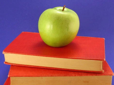 study_2.jpg?type=w966