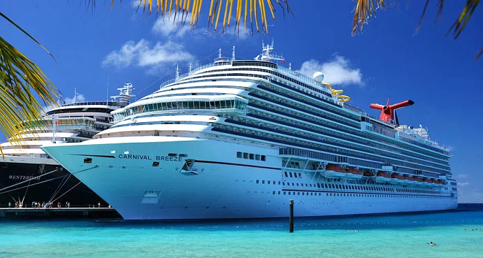 Cruse-lines.jpg?type=w966