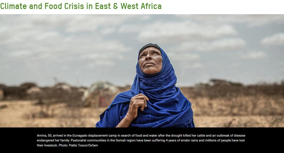 Cap_2023-05-17_17-07-36-472.jpg?type=w966