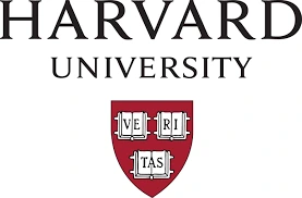 images.png?type=w966