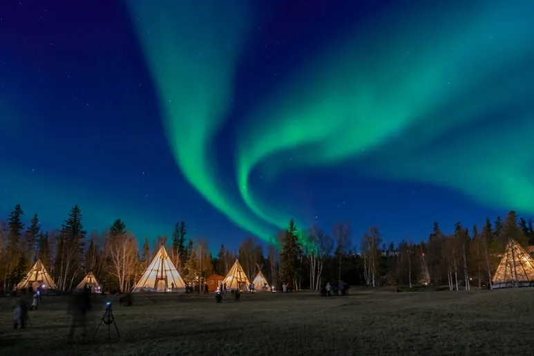 %EC%BA%90%EB%82%98%EB%8B%A4_%EC%98%A4%EB%A1%9C%EB%9D%BC.jpg?type=w773