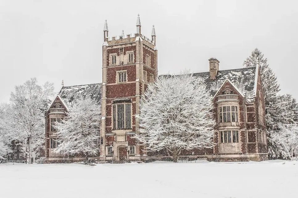 %EB%B3%B4%EB%93%A0%EC%B9%BC%EB%A6%AC%EC%A7%802.jpg?type=w966