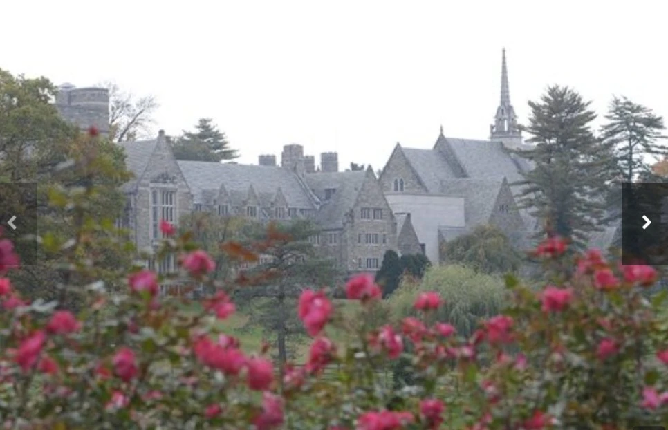 Cap_2023-07-30_16-33-36-077.jpg?type=w966