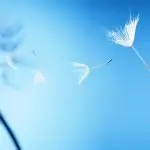 4_84hUd018svcfp2rzwex4lnc_ufjadk.jpg?type=s150