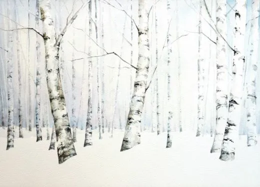 1_49bUd018svc72h9p3br2ipd_qxsic1.jpg?type=w520