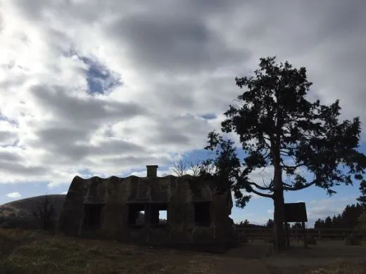 0_e4fUd018svcntw89vforurb_b5ll21.jpg?type=w520