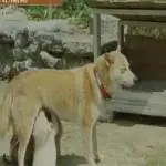 0_b98Ud018svc12o438e0h794g_ufjadk.jpg?type=s150