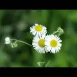 17cUd015xumy6arptq6a_g3yd72.jpg?type=s150