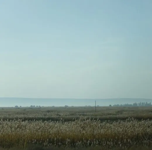 d_5hiUd018svc1210qem3idgth_ufjadk.jpg?type=w520