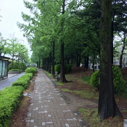 e_22gUd018svc15hs4uqymkg0l_akwcbm.jpg?type=w520