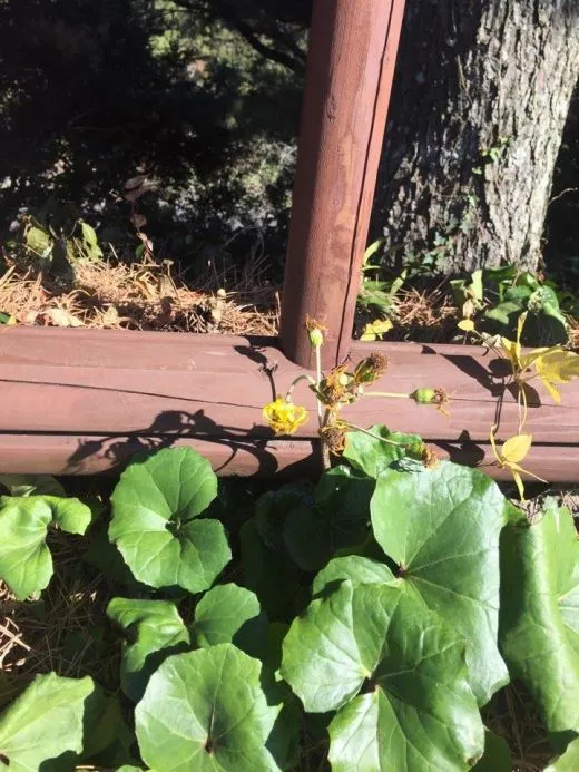 1_f6jUd018svc1ddmm4lmb6yxj_ufjadk.jpg?type=w520