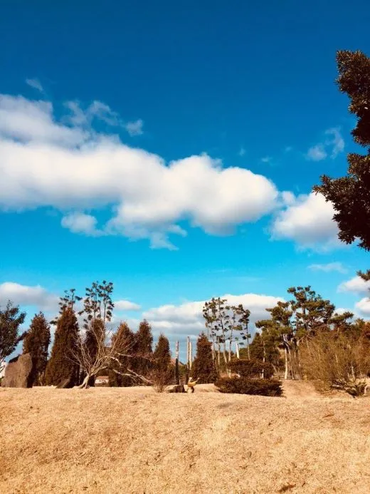 c_g41Ud018svc101a1zuu23p83_vrg9ur.jpg?type=w520