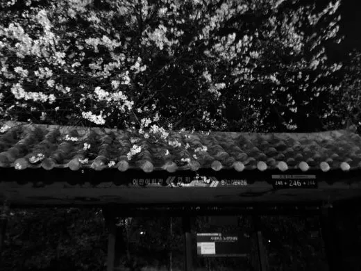 j_1dbUd018svcu7900i3y5d7k_ufjadk.jpg?type=w520