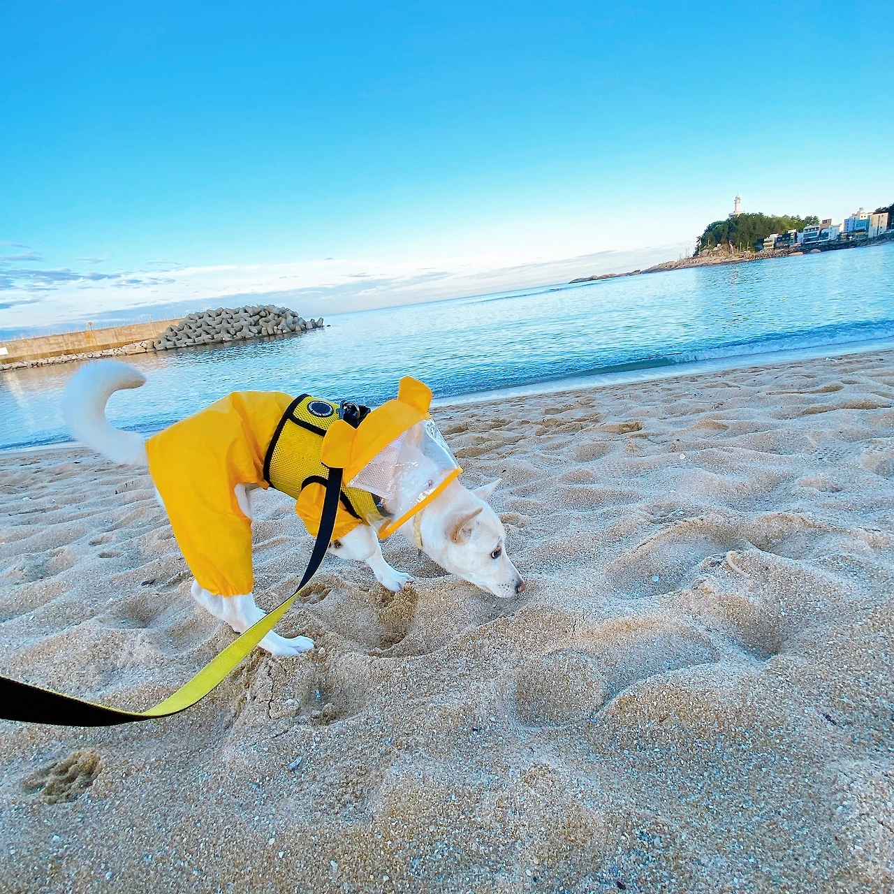 KakaoTalk_Photo_2022-12-17-20-30-34 014.jpeg